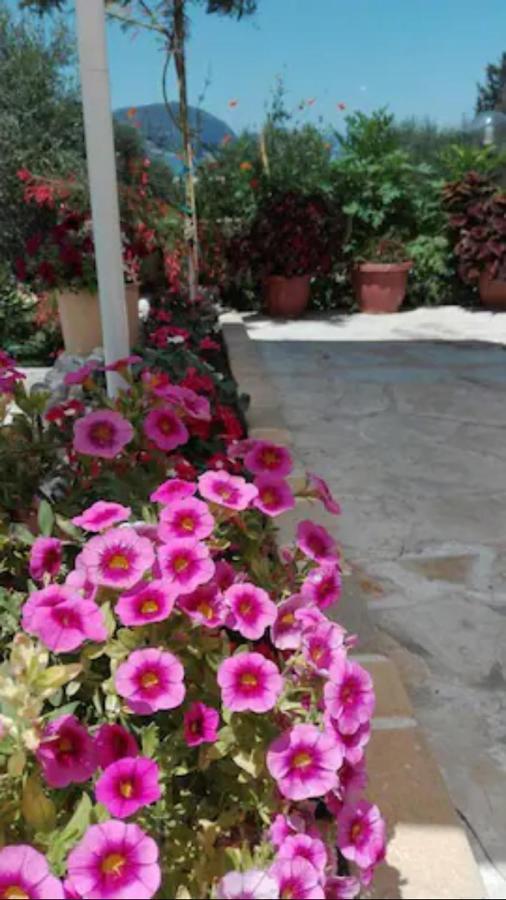 Armonia Apartments Corfu  Ngoại thất bức ảnh